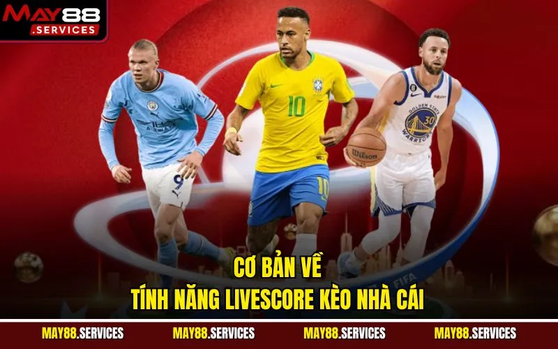 Cơ bản về tính năng livescore kèo nhà cái