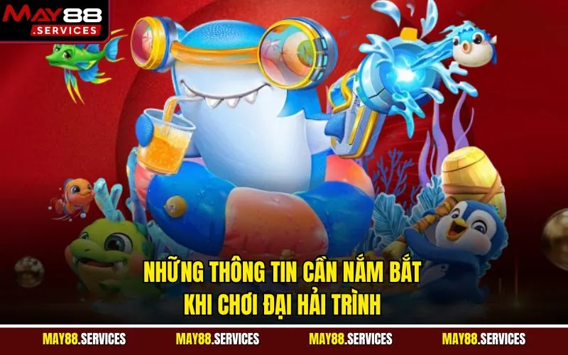 Những thông tin cần nắm bắt khi chơi Đại Hải Trình